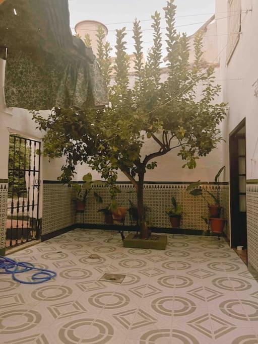 La Casa De Manolita Vila Baena Exterior foto